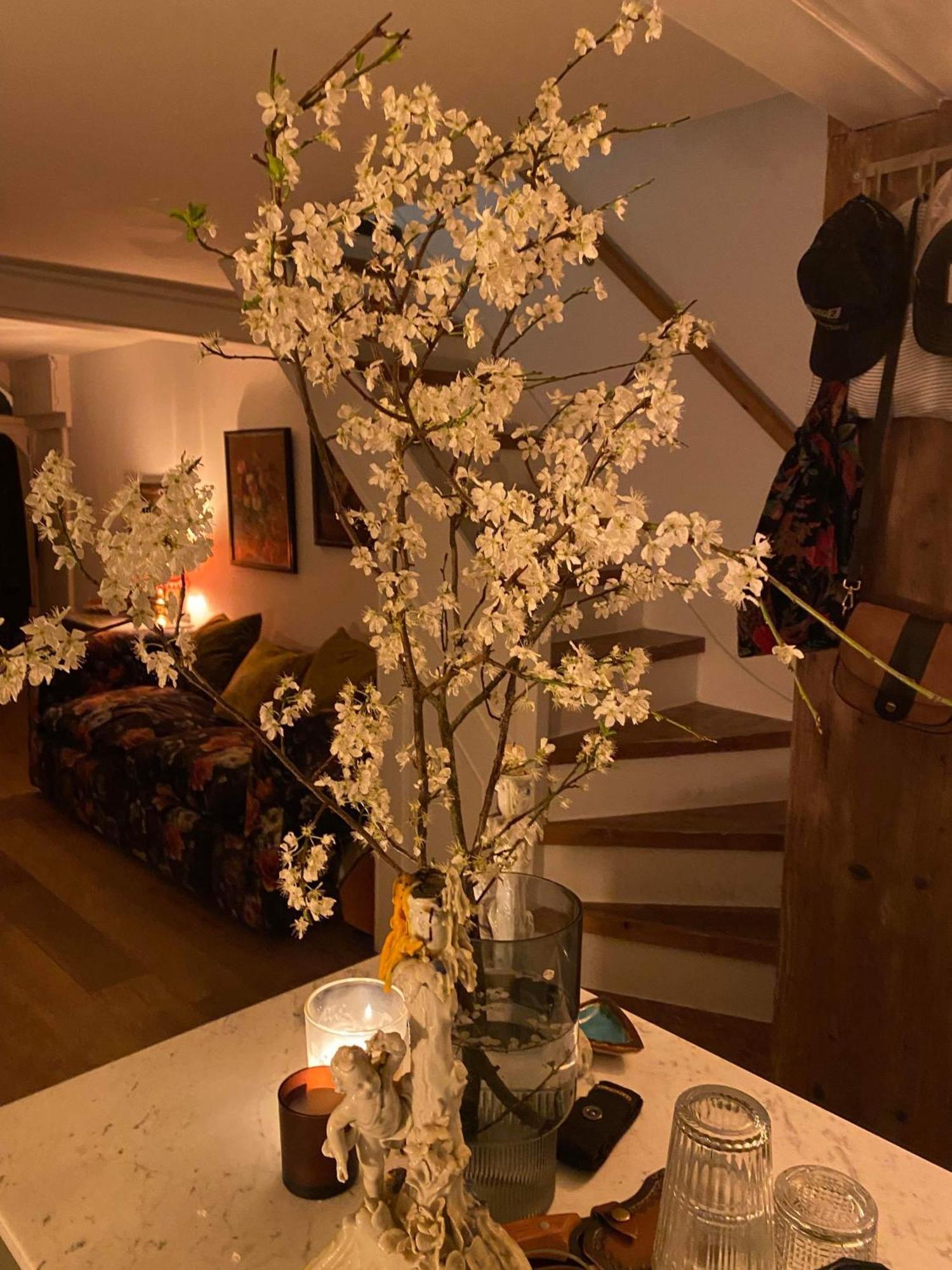 Stylish & Cosy Boutique Townhouse 1 Bedroom, 1 Sofa Bed - Sleeps 4 基督城 外观 照片